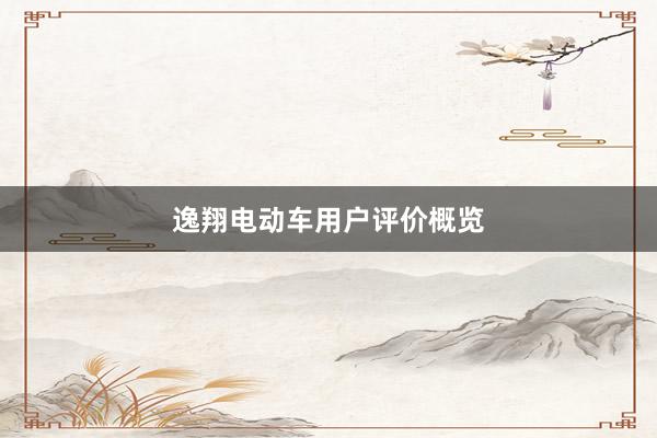 逸翔电动车用户评价概览