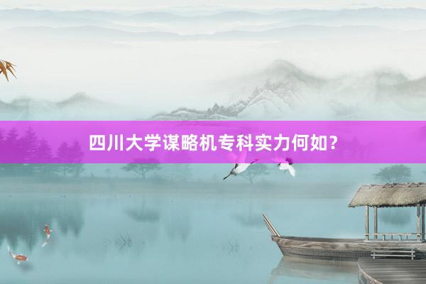 四川大学谋略机专科实力何如？